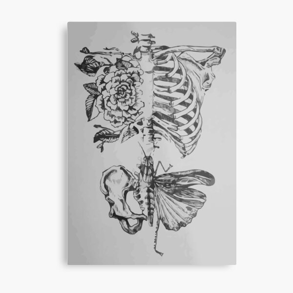 Soft anatomy Metal Print