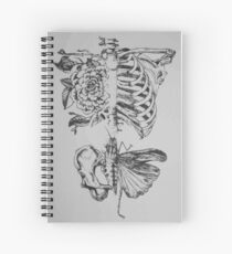 Weiche Anatomie Spiralblock