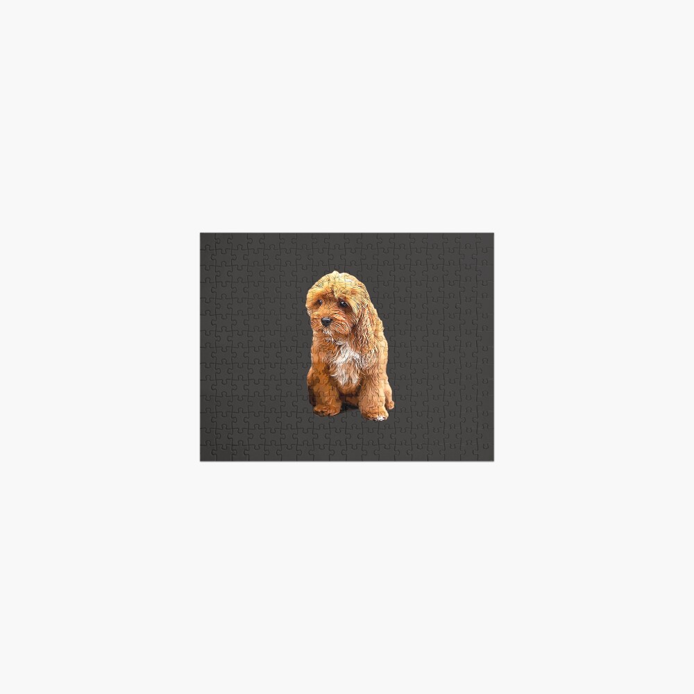 cavapoo jigsaw puzzle
