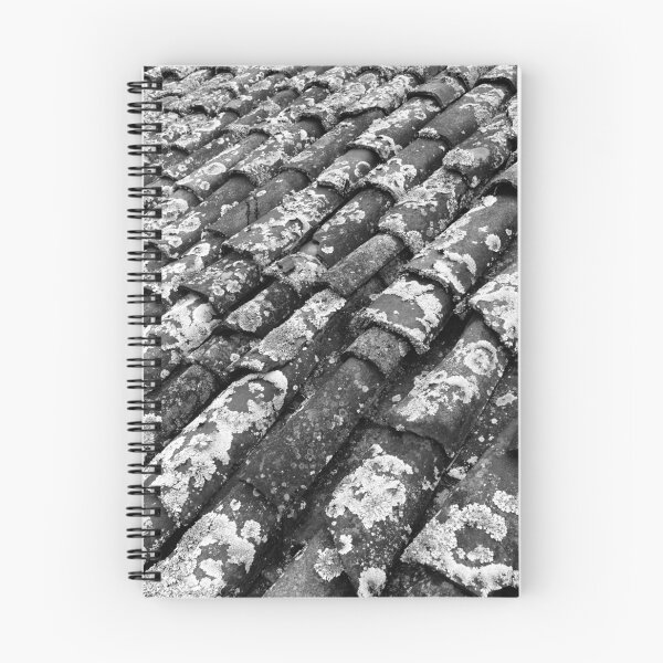 Item preview, Terra cotta roof tiles designed and sold by Gaspar Avila.
