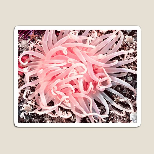 Item preview, Alaska Low Tide Anemone Flower designed and sold by purplesensation.