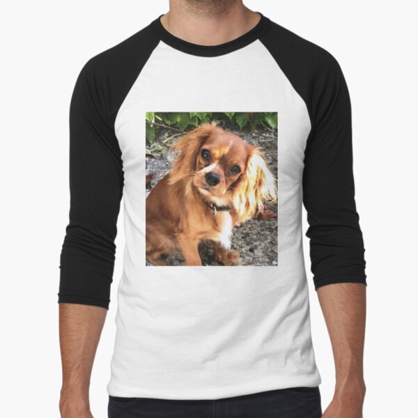 Brown Cavalier king charles spaniel dog. T-shirt, Bandana Poster by Alain  DIVINE