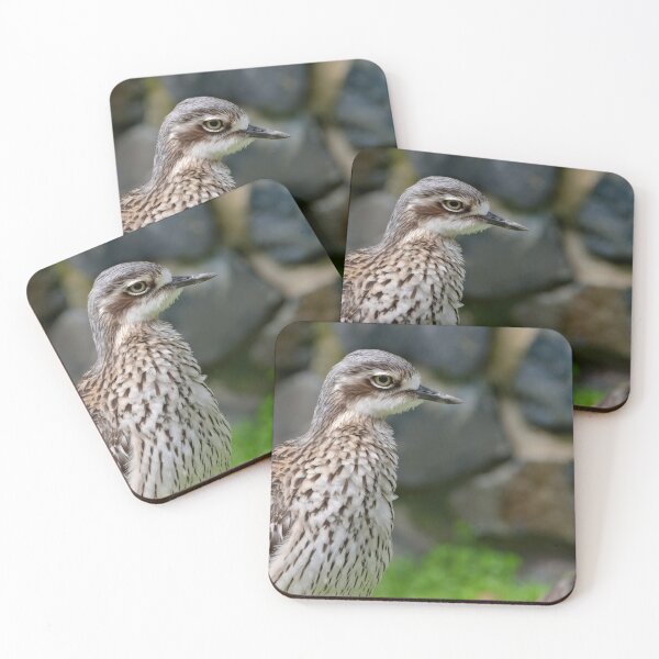 Item preview, Beautiful photo of a bush stone-curlew designed and sold by hendrikspix.