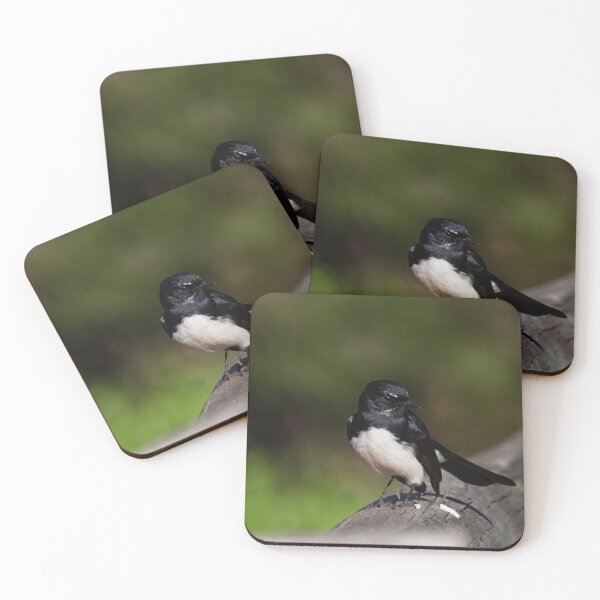 Item preview, Curious Willie Wagtail on a fence designed and sold by hendrikspix.
