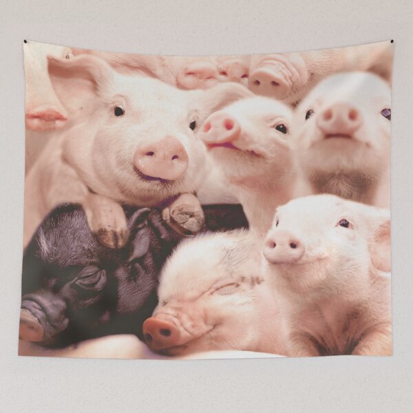 Item preview, Pigs designed and sold by MaxencePierrard.
