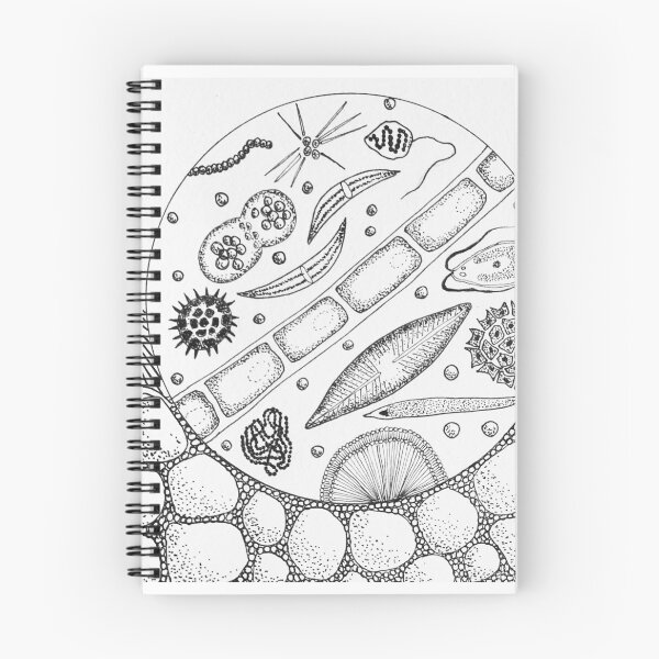 Item preview, Algae designed and sold by deeptitrivedi.