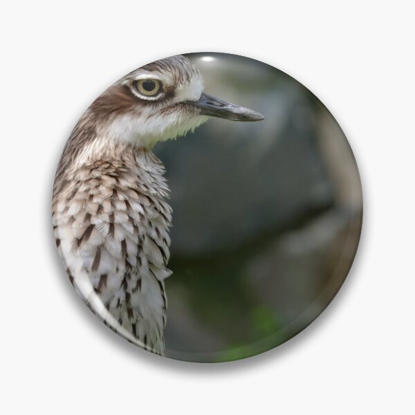 Item preview, Beautiful photo of a bush stone-curlew designed and sold by hendrikspix.