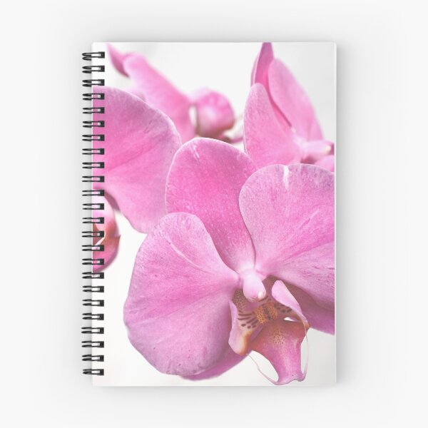 Item preview, Orchid flowers designed and sold by Gaspar Avila.