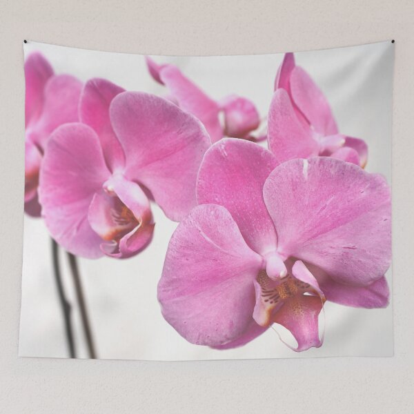 Item preview, Orchid flowers designed and sold by Gaspar Avila.