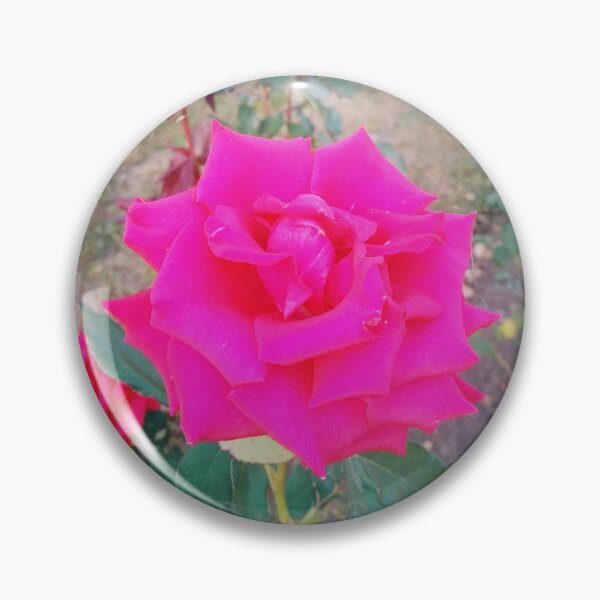 Item preview, Beautiful red rose, natural background designed and sold by helenkaiy.