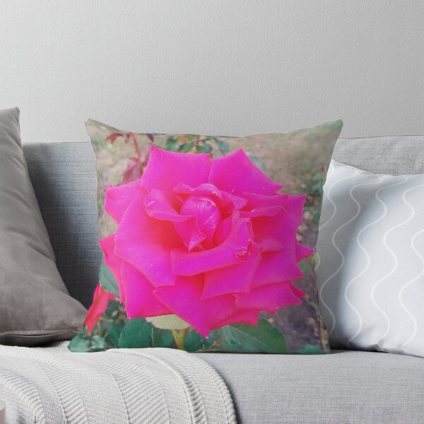 Item preview, Beautiful red rose, natural background designed and sold by helenkaiy.