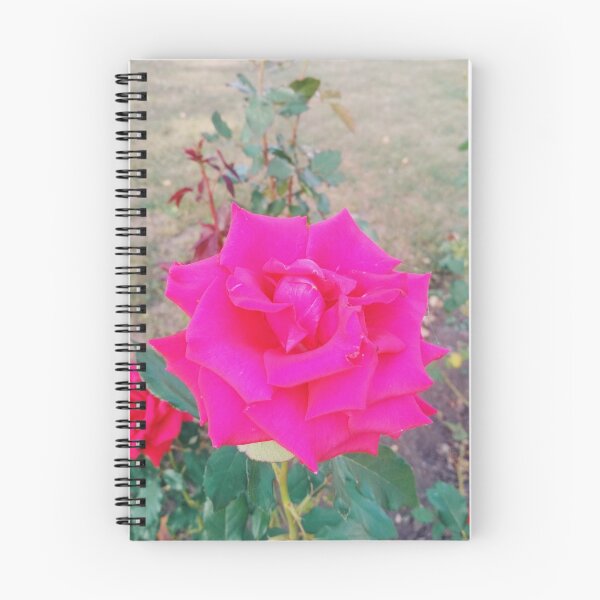 Item preview, Beautiful red rose, natural background designed and sold by helenkaiy.