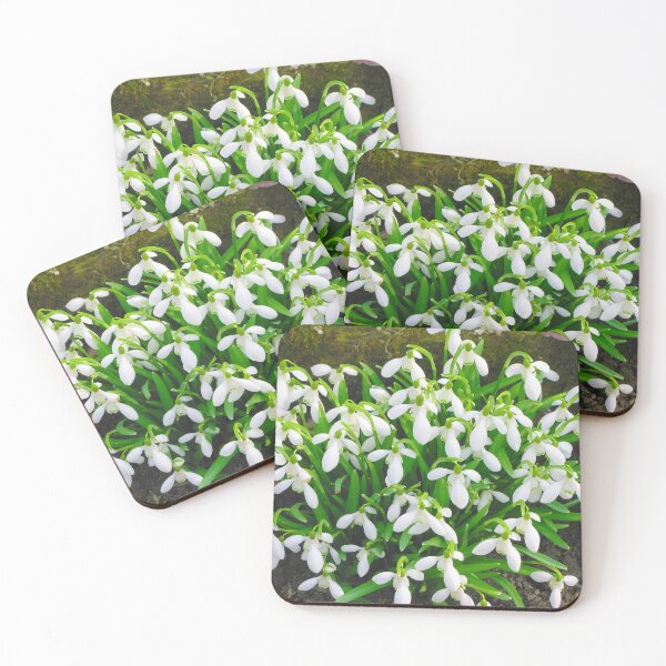 Item preview, White flowers designed and sold by keisthard.