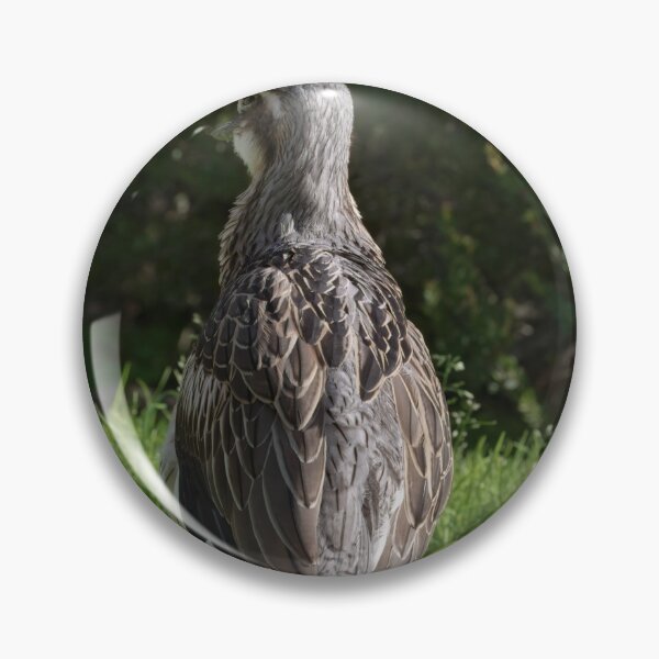 Item preview, Beautiful photo of a bush stone-curlew designed and sold by hendrikspix.
