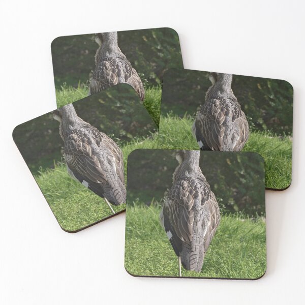 Item preview, Beautiful photo of a bush stone-curlew designed and sold by hendrikspix.