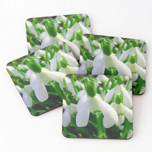 Item preview, White flowers designed and sold by keisthard.