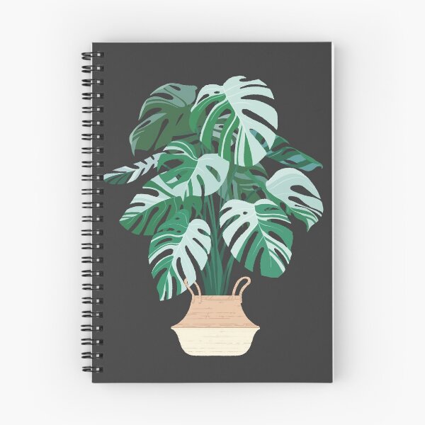 Item preview, Monstera albo variegata designed and sold by Iker Paz Studio.