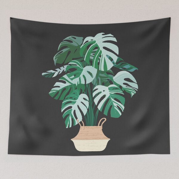 Item preview, Monstera albo variegata designed and sold by Iker Paz Studio.