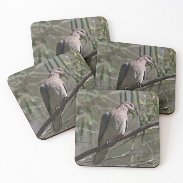 Item preview, Cute Laughing Dove on a branch designed and sold by hendrikspix.