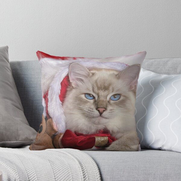 Item preview, Saoirse ragdoll Santa baby designed and sold by Fluffycat2020.