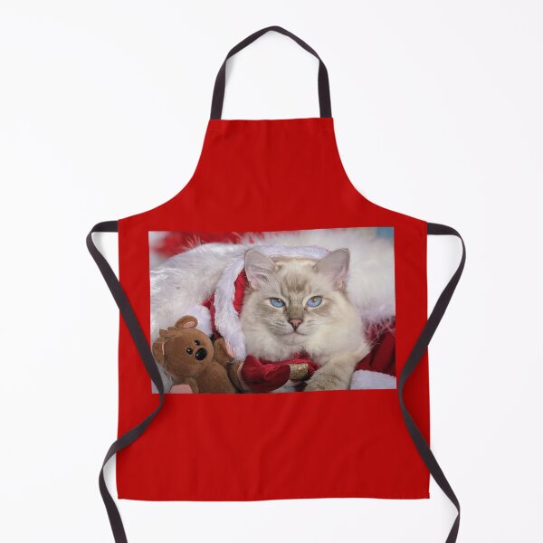 Item preview, Saoirse ragdoll Santa baby designed and sold by Fluffycat2020.