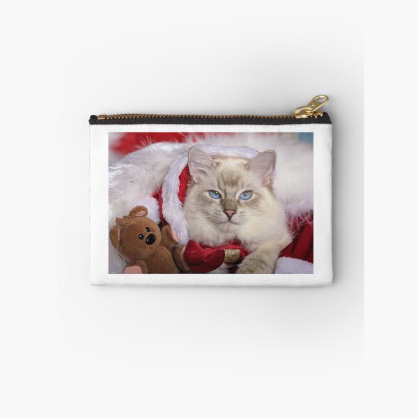 Item preview, Saoirse ragdoll Santa baby designed and sold by Fluffycat2020.