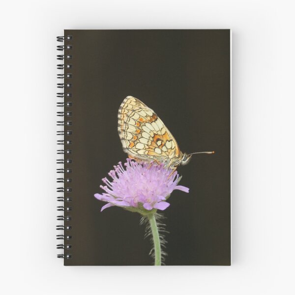 Item preview, Quail wheat piebald butterflies designed and sold by NW-Photo-Art.