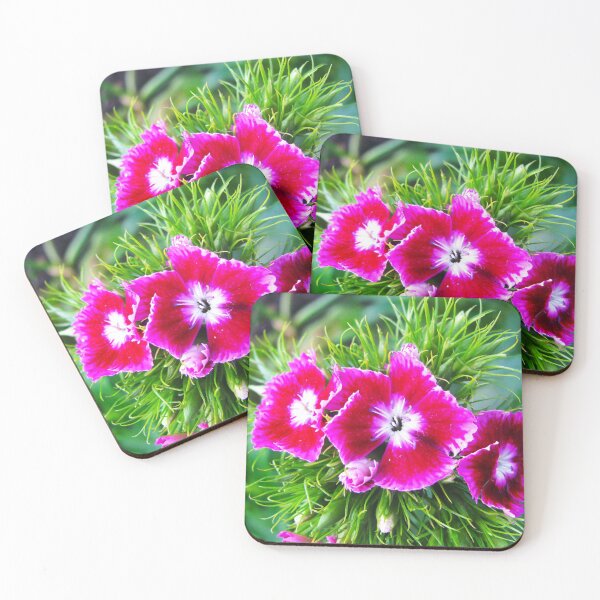 Item preview, Сarnation flowers designed and sold by keisthard.