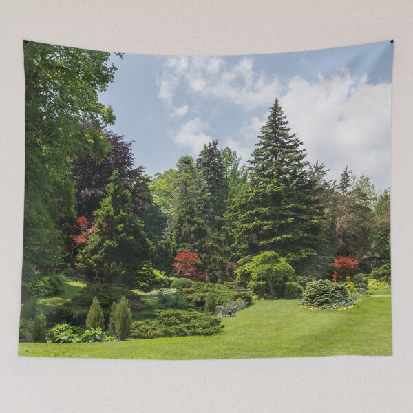 Item preview, Incongruous - Three Bold Red Japanese Maples Among the Spring Greens designed and sold by Georgia Mizuleva.