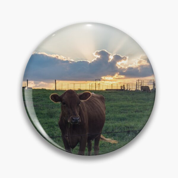 Item preview, Cattle Farm Sunset designed and sold by mljdwhite.