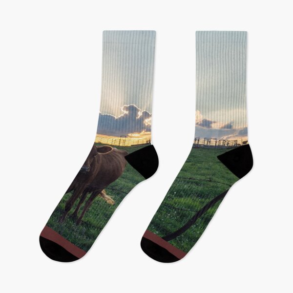 Item preview, Cattle Farm Sunset designed and sold by mljdwhite.