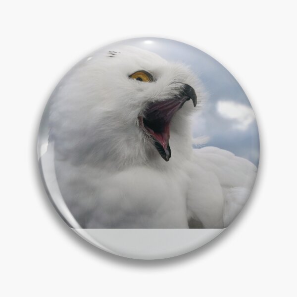 Artikelvorschau, T-SHIRT MASQUE COUSSIN HIBOU entworfen und verkauft von Axel20.