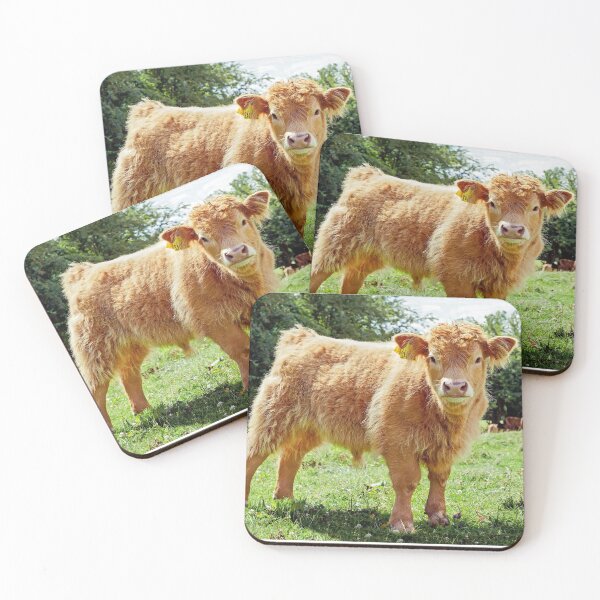 Item preview, Highland Cow, The Inquisitive Calf designed and sold by mhfore.
