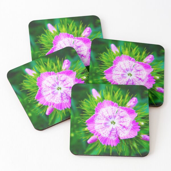 Item preview, Carnation flowers designed and sold by keisthard.