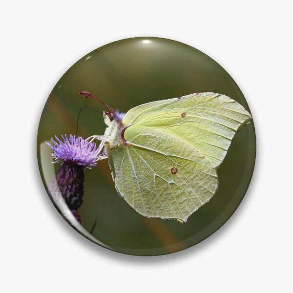 Item preview, Brimstone butterfly designed and sold by NW-Photo-Art.