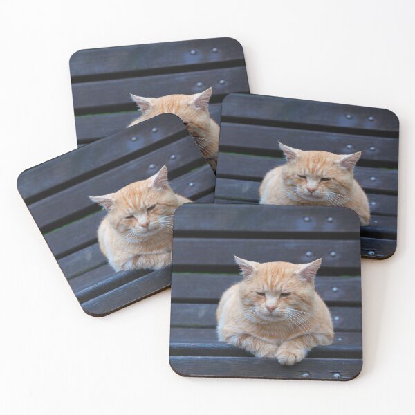 Item preview, Bench Cat designed and sold by TVD-Photography.