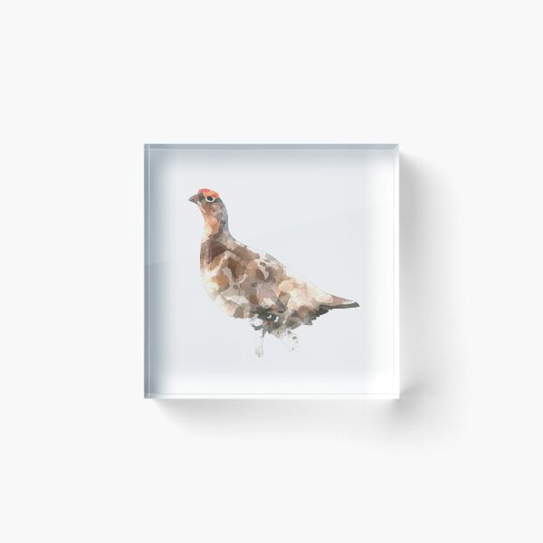 Item preview, Watercolour Grouse designed and sold by snewdesigns.