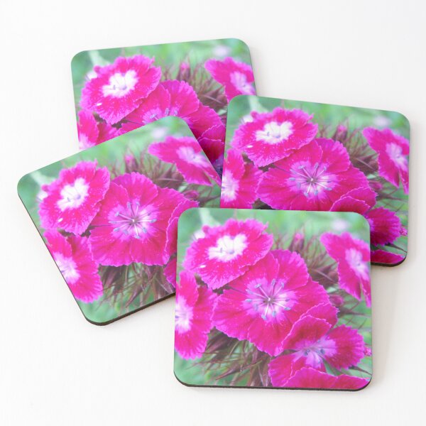 Item preview, Сarnation flowers designed and sold by keisthard.