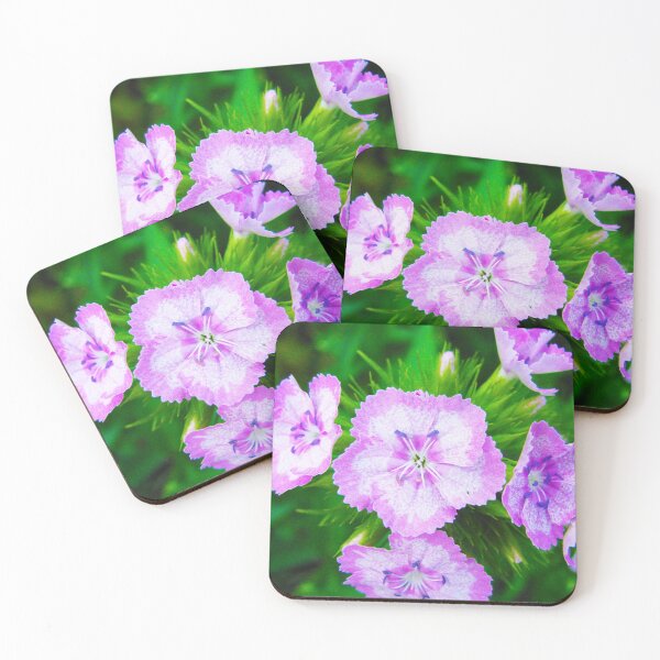 Item preview, Сarnation flowers designed and sold by keisthard.