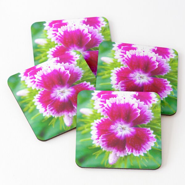 Item preview, Сarnation flowers designed and sold by keisthard.