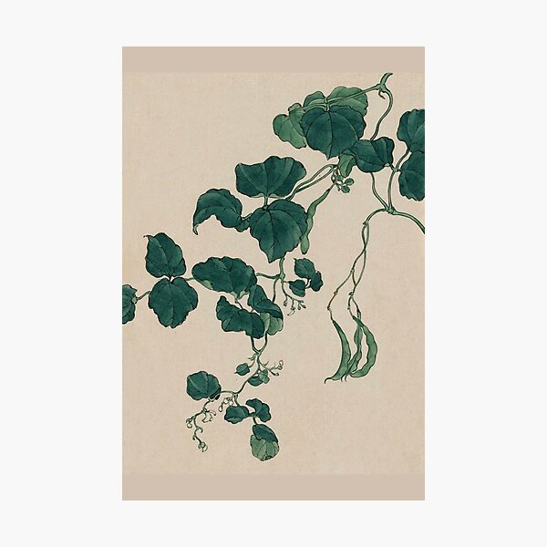 Item preview, Japanese style art.Bean tree plant  designed and sold by MariaMarinova.