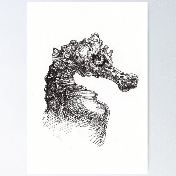 Seahorse Poster