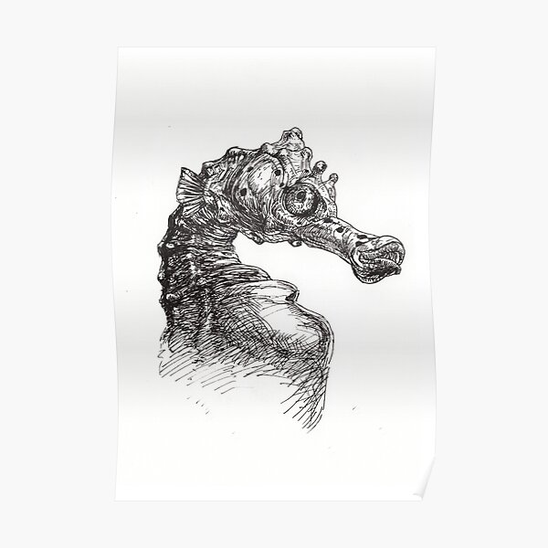 Seahorse Poster