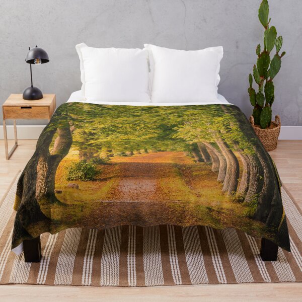 Item preview, Autumn Morning Alley designed and sold by Nicklas81.