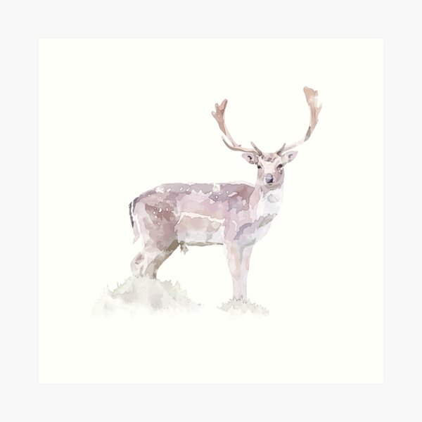 Fallow Deer Print