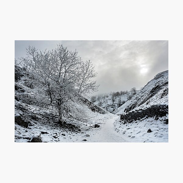 A Winters Walk Photographic Print
