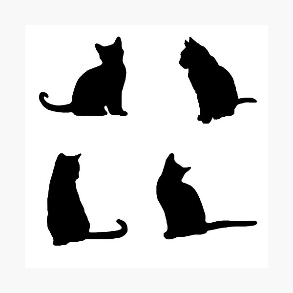 Impression Photo Silhouette De Chat Assis Noir Et Blanc Par Kiraxen Redbubble