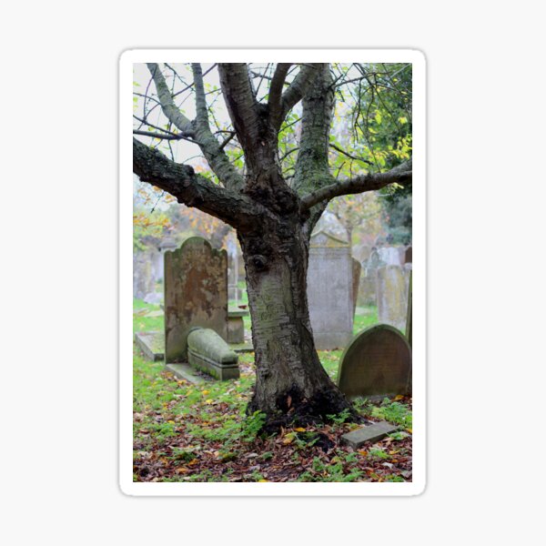 Oak tree and grave stones Sticker