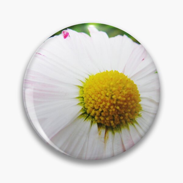 Item preview, Chamomile designed and sold by keisthard.