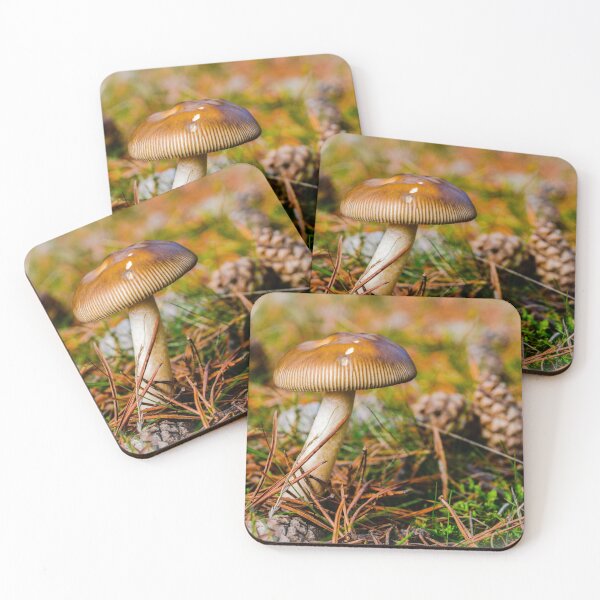 Item preview, Autumn colours designed and sold by DaveEssonPhotos.